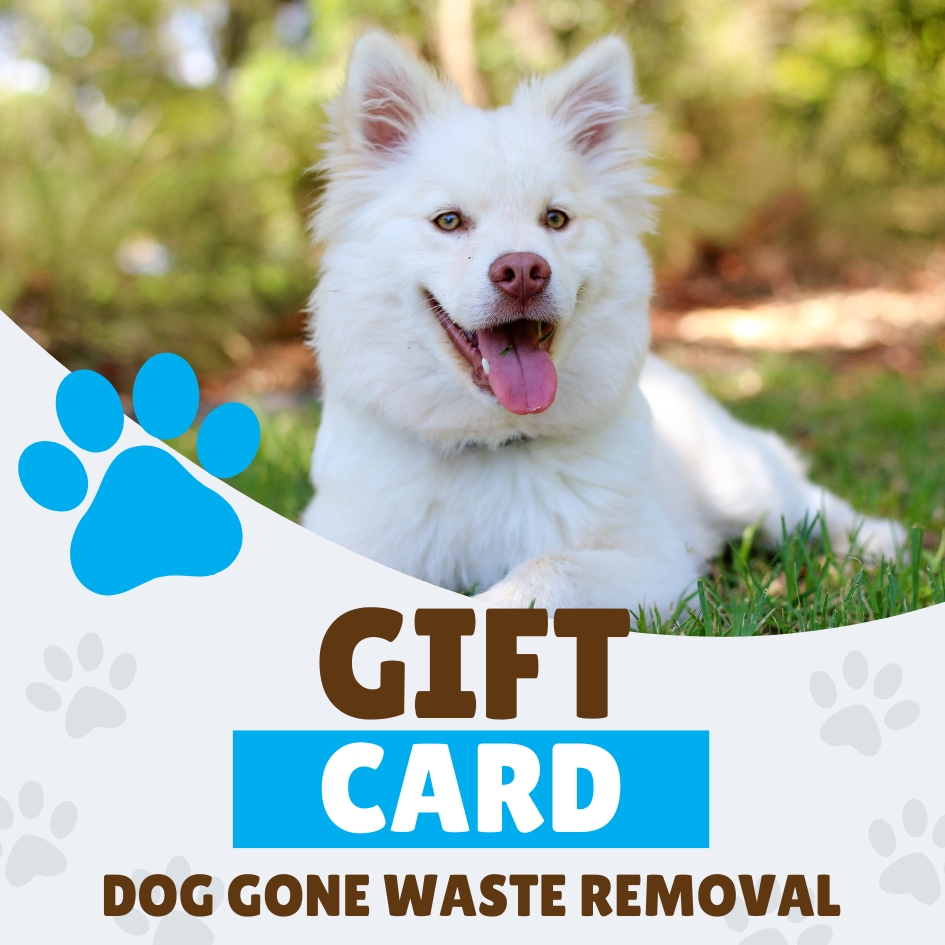 Dog Gone Waste Removal gift card featuring a happy white dog on a grassy lawn